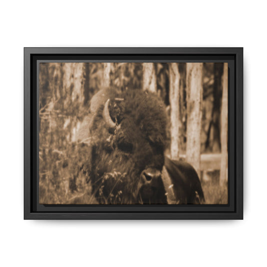 Wild Steward: Guardian
Photographed in Yellowstone · Sepia-toned Matte Photograph