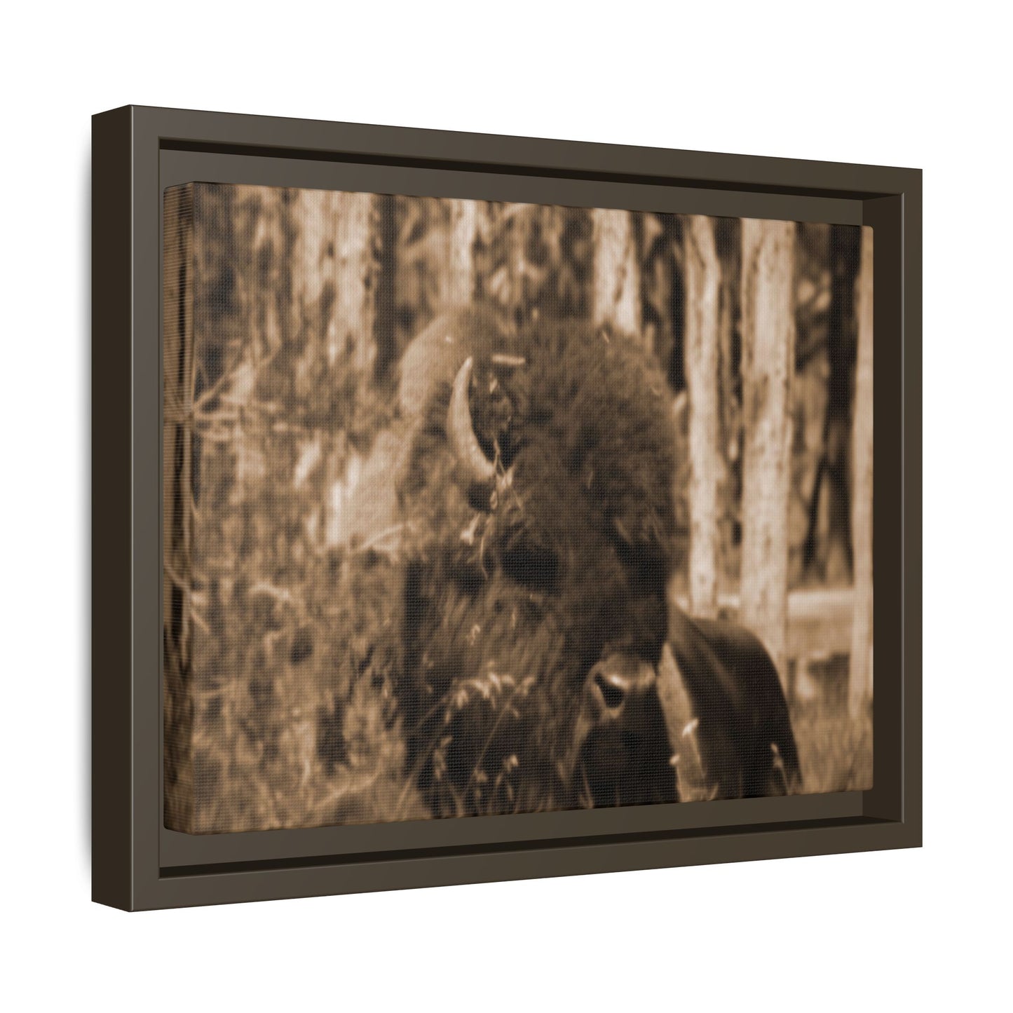 Wild Steward: Guardian
Photographed in Yellowstone · Sepia-toned Matte Photograph