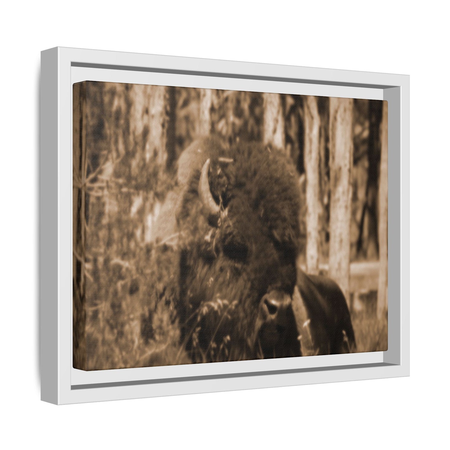 Wild Steward: Guardian
Photographed in Yellowstone · Sepia-toned Matte Photograph