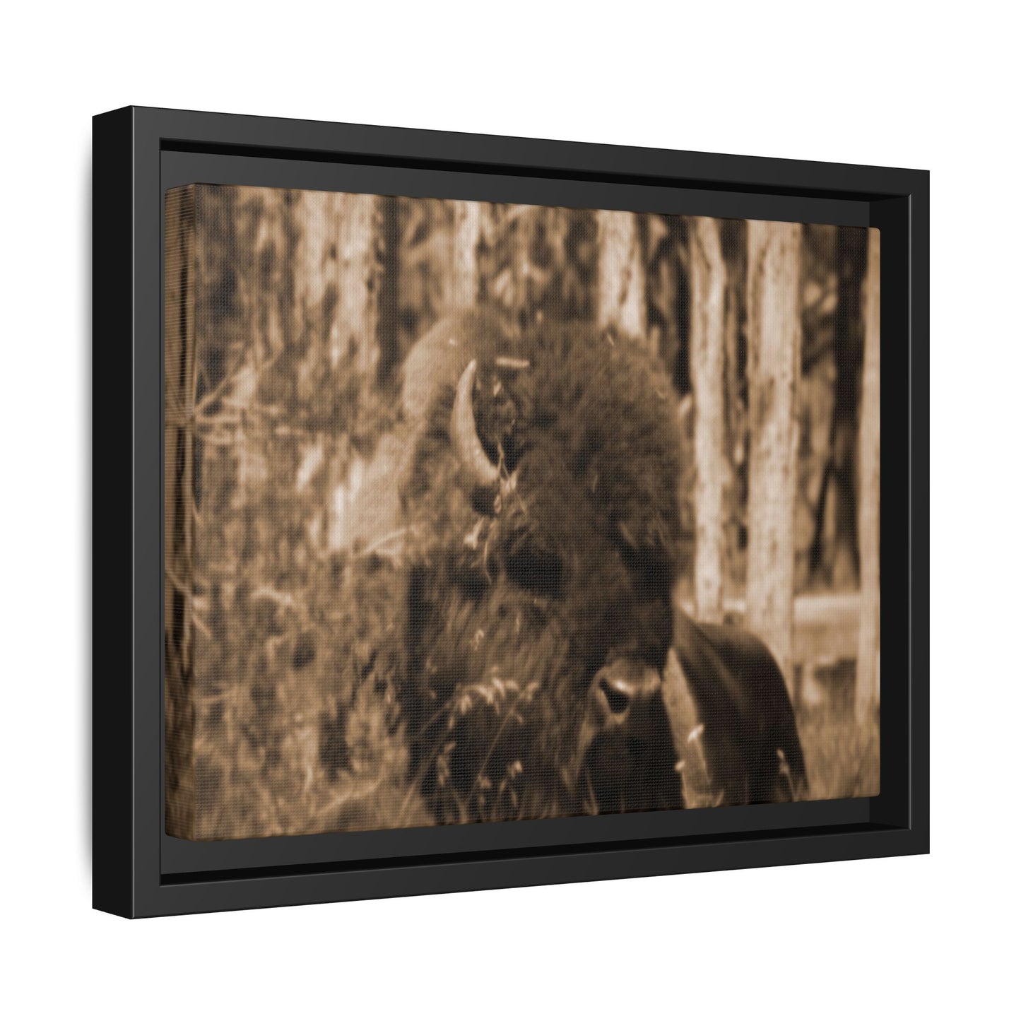Wild Steward: Guardian
Photographed in Yellowstone · Sepia-toned Matte Photograph