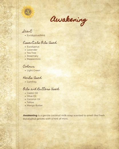 Awakening - A Return to the fire within, rise within it.